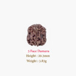 5 Face Damaru