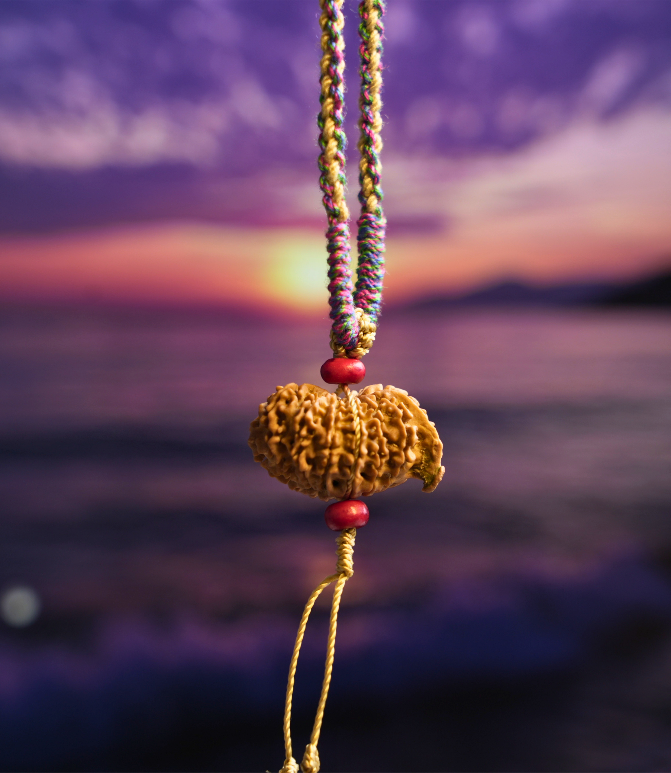 14 Mukhi Ganesh Rudraksha