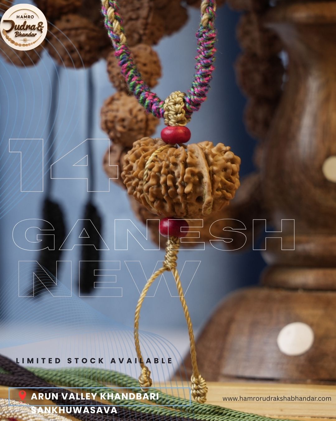 14 Mukhi Ganesh Rudraksha from Nepal