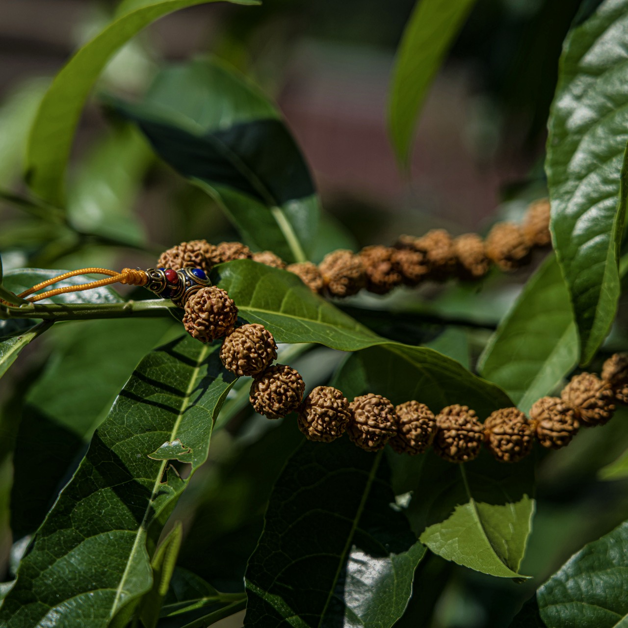 Divine Radiance 14mm Mala