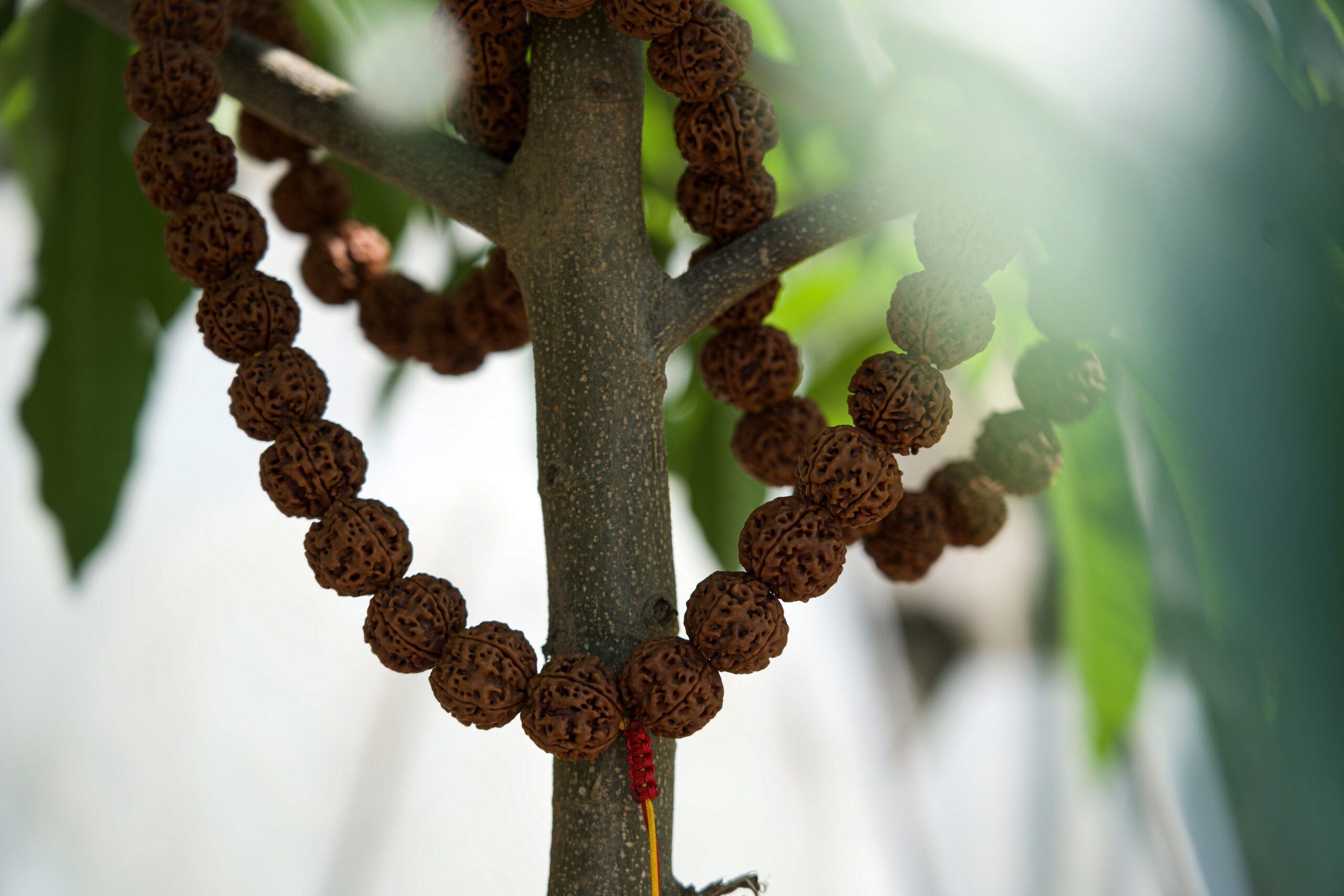 5 Mukhi Kantha Mala – Natural Rudraksha Beads