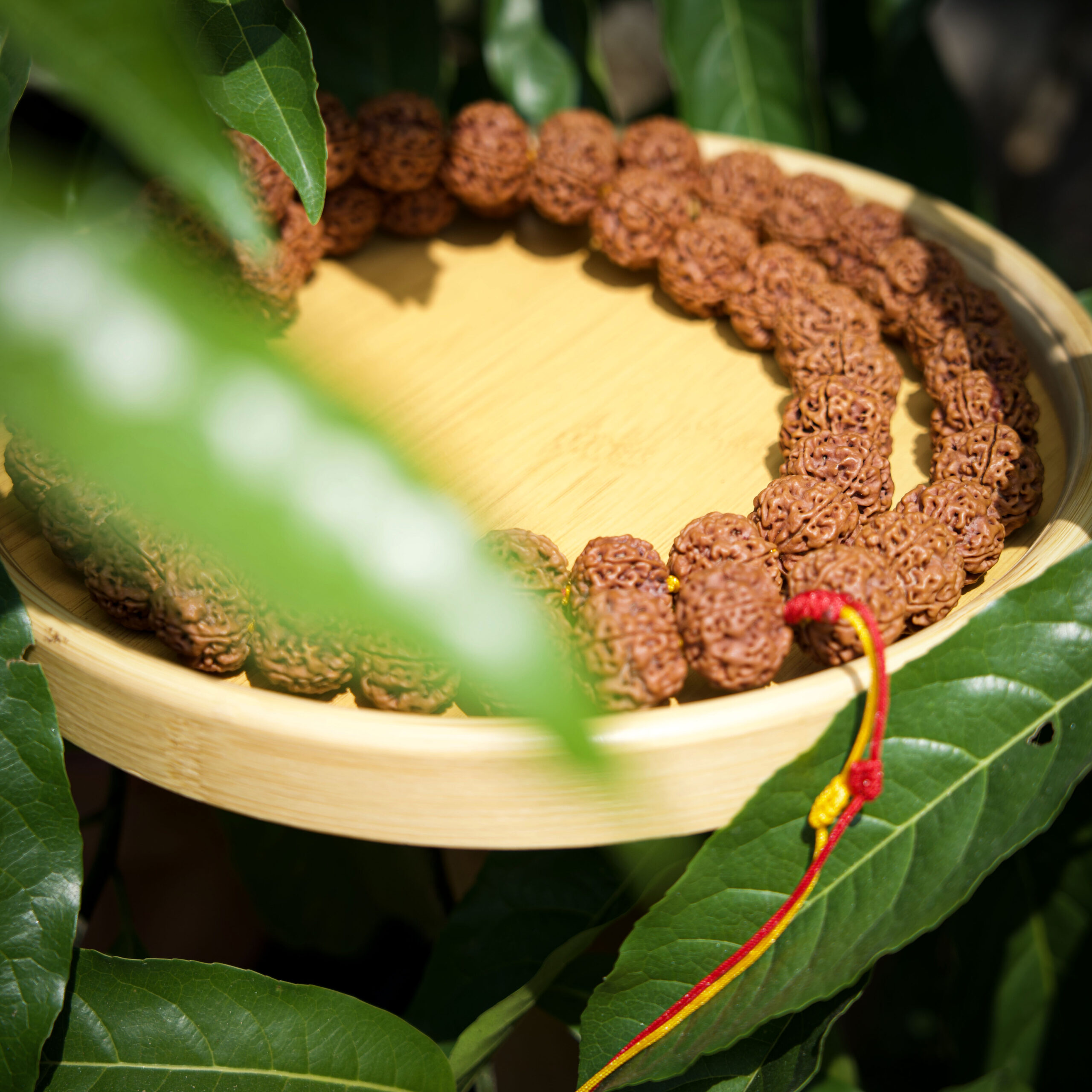 5 Mukhi Kantha Mala – Natural Rudraksha Beads
