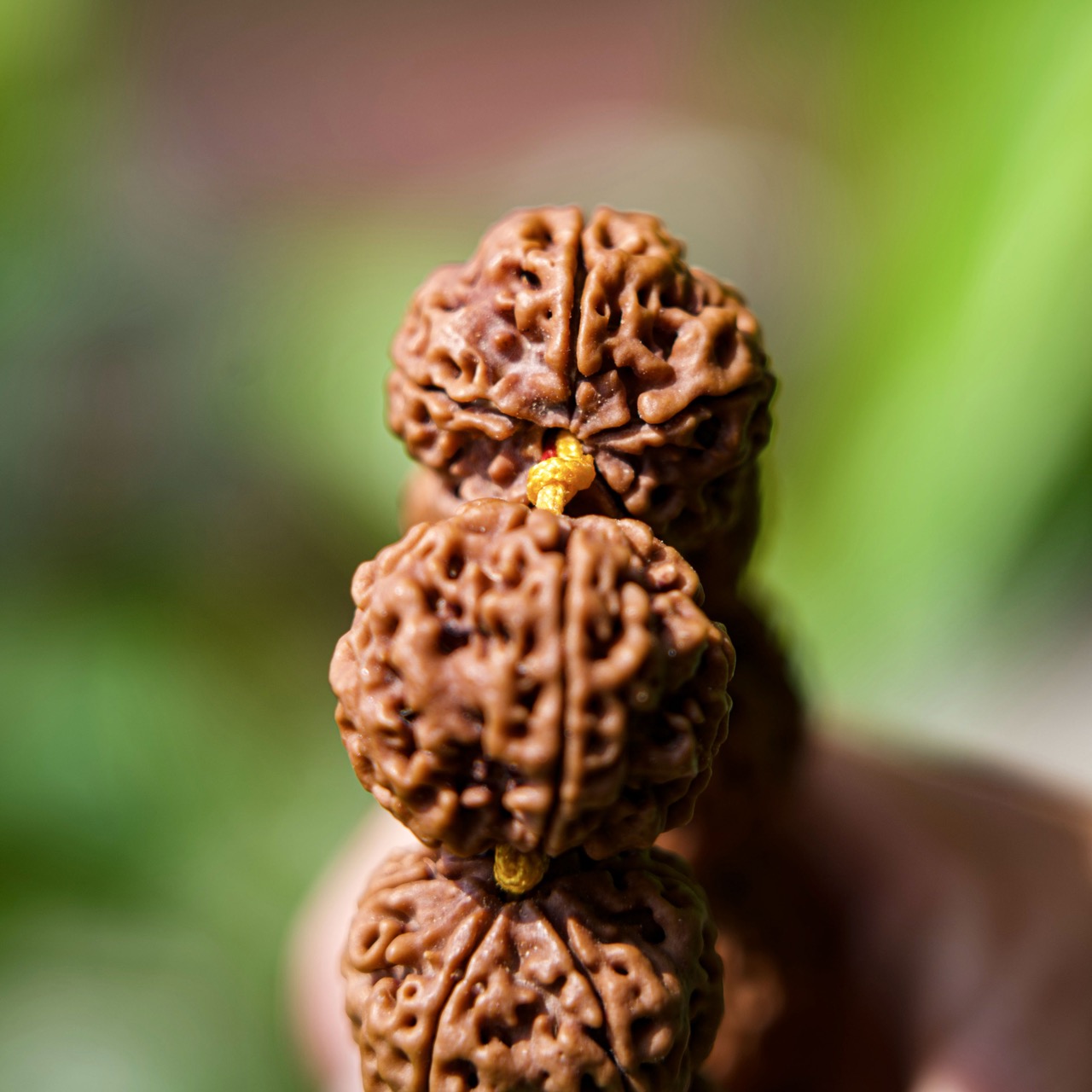 5 Mukhi Kantha Mala – Natural Rudraksha Beads