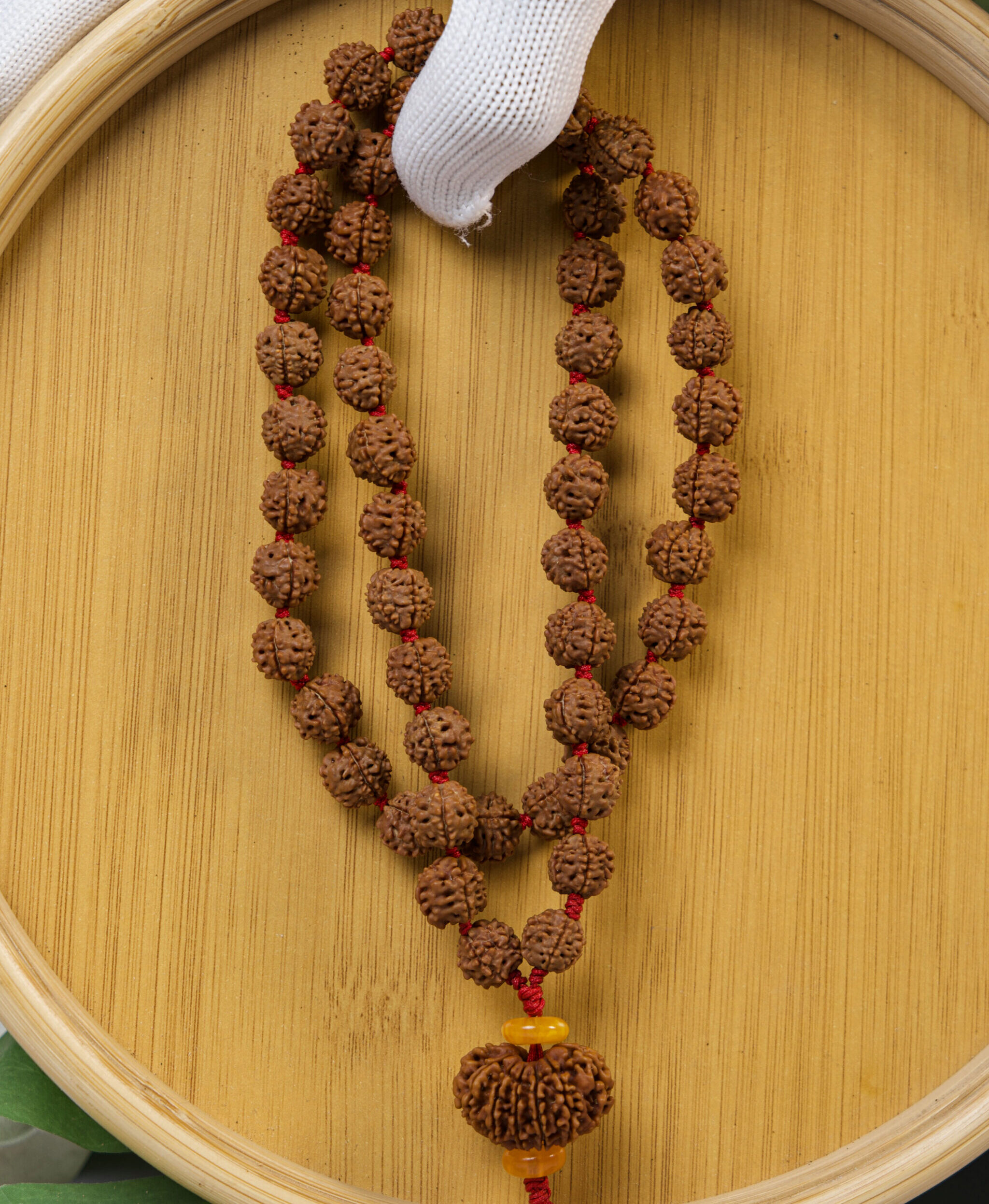 12 Mukhi with 5 Mukhi Rudraksha Mala