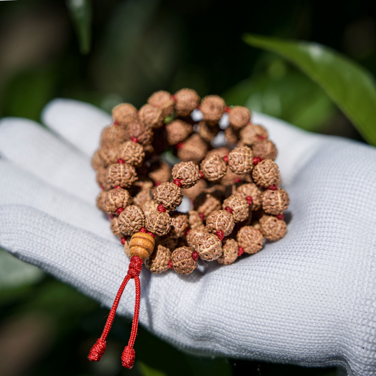 8mm 108 Rudraksha Mala